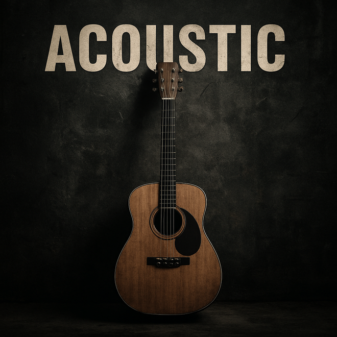 Acoustic Guitars