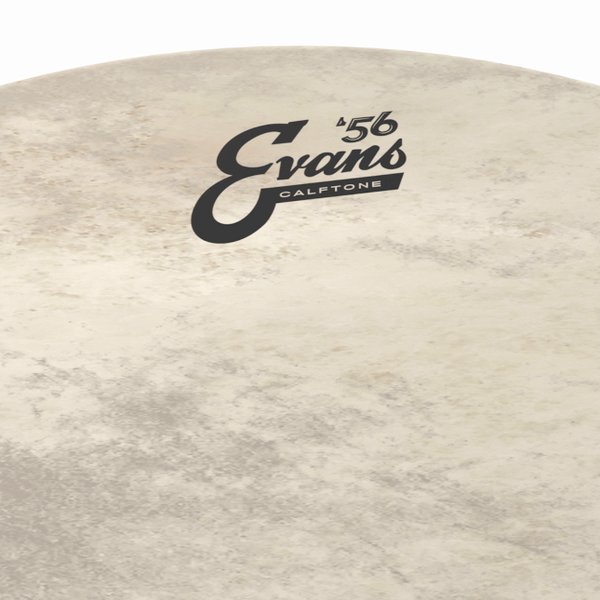 EVANS Calftone Bass Batter Drumhead
