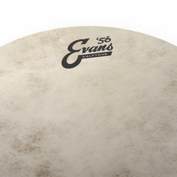 EVANS Calftone Snare Batter Drumhead
