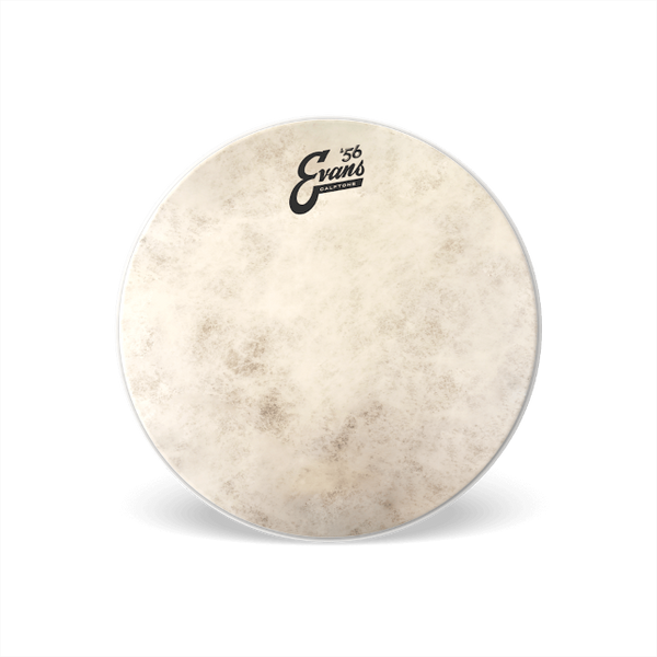 EVANS Calftone Snare Batter Drumhead