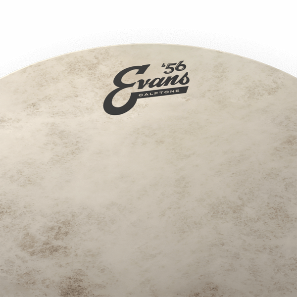 EVANS Calftone Tom Batter Drumhead
