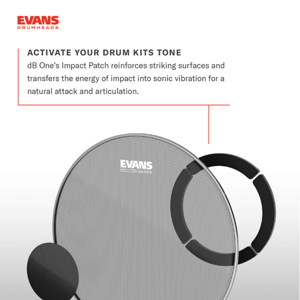 EVANS dB One Bass Drumhead