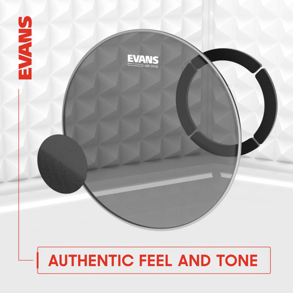 EVANS dB One Snare Drumhead